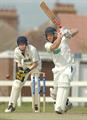 ANDcrick240410-01.jpg