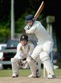 ANDCrick300411-04.jpg