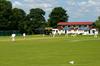 Andover 1st XI - Sun Member profile